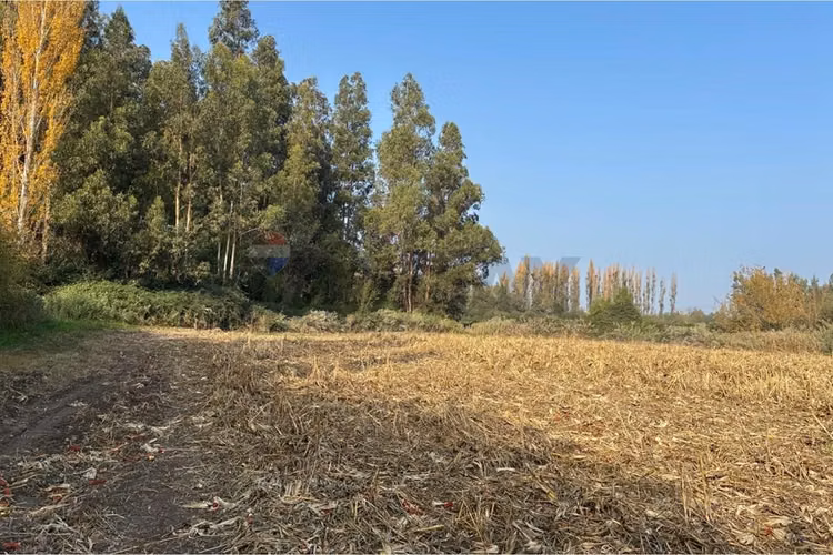 Venta terreno agrícola, san vicente tt