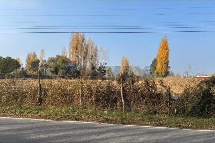Venta terreno agrícola, san vicente tt