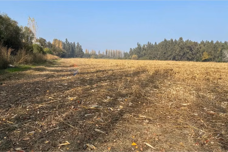 Venta terreno agrícola, san vicente tt