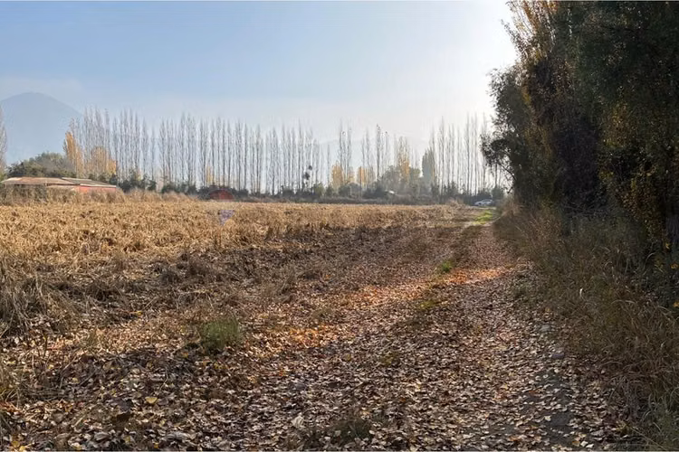 Venta terreno agrícola, san vicente tt