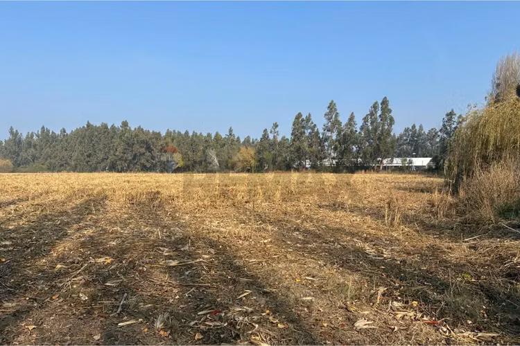 Venta terreno agrícola, san vicente tt