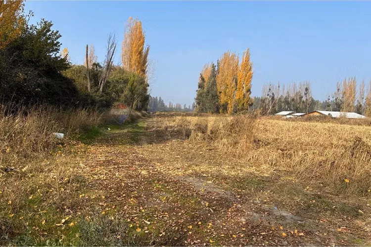 Venta terreno agrícola, san vicente tt