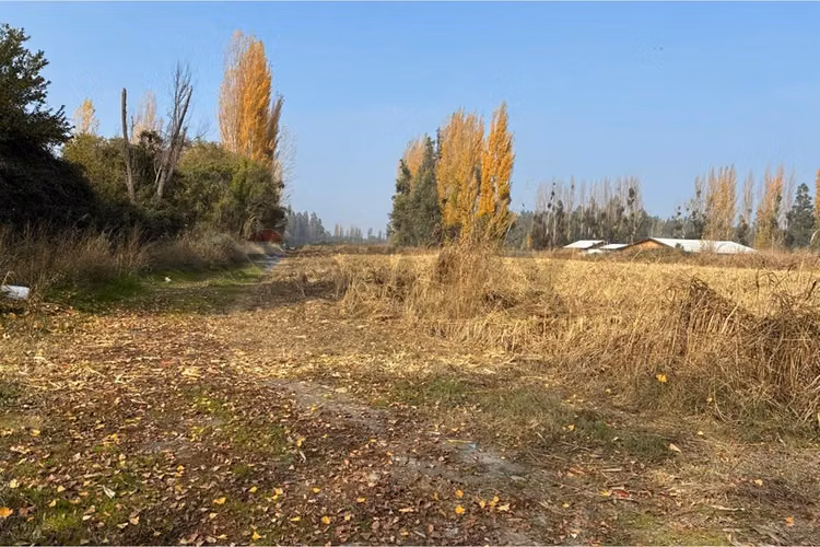 "venta terreno agrícola, san vicente tt"