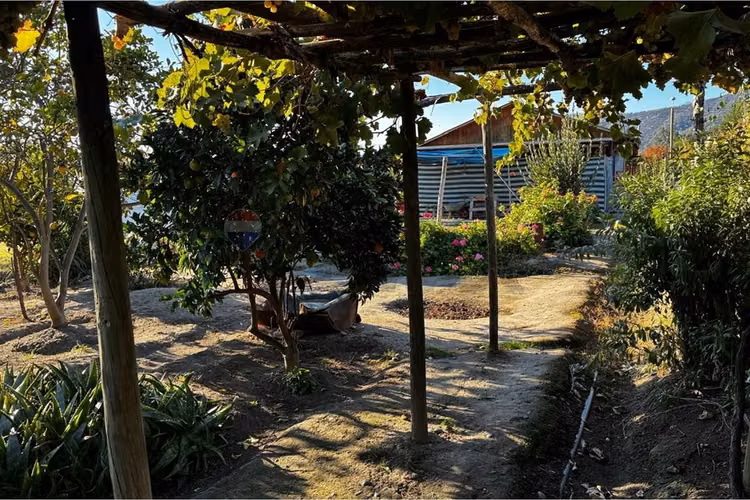 Casa en venta, pichidegua.