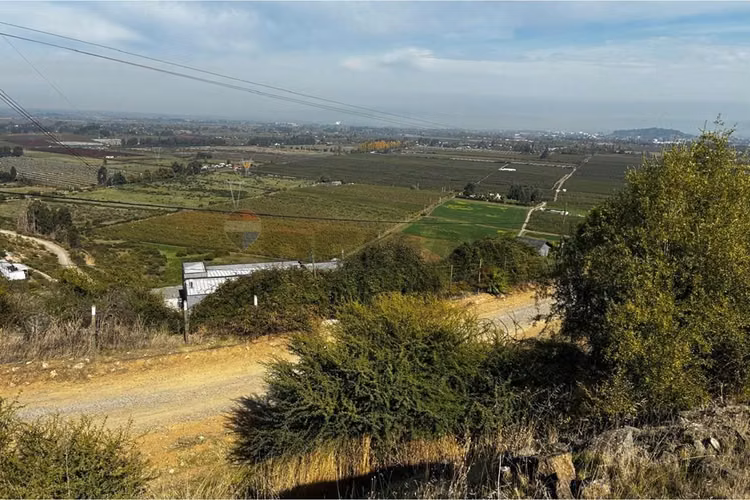 Parcela en venta, cerro cristal curicó