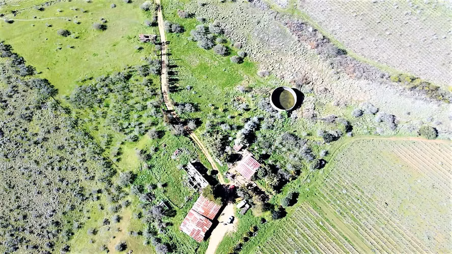 Venta de Fundo El Macetero – 198,9 Há de poder productivo, en Cauquenes. 65.000 UF UF.
