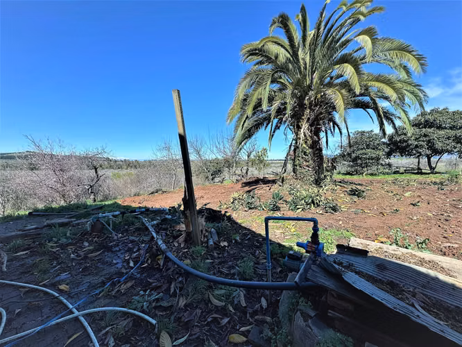 Venta de Fundo El Macetero – 198,9 Há de poder productivo, en Cauquenes. 65.000 UF UF.