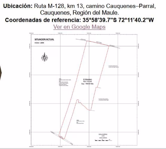 Venta de Fundo El Macetero – 198,9 Há de poder productivo, en Cauquenes. 65.000 UF UF.