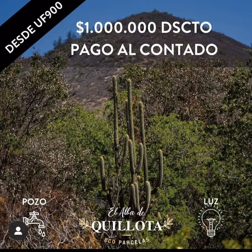 EL ALBA DE QUILLOTA  VIVE LA NATURALEZA CONSTRUYE TU FUTURO