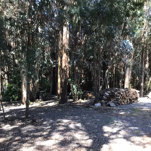 Restaurante/Eventos + Casa 3D, Piscina y Bosque – Queri