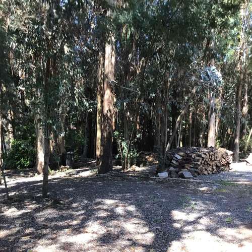 Parcela 2.890 m² c/Local Comercial y Vivienda – San Clemente