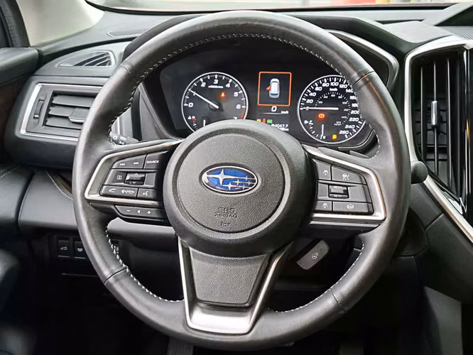 SUBARU EVOLTIS 2025