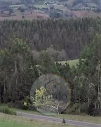 Araucania - Carahue - Tranapuente (176231)