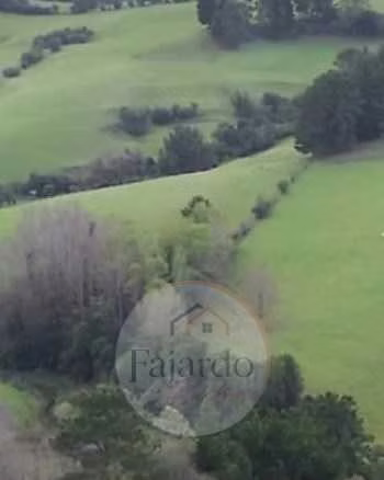 Araucania - Carahue - Tranapuente (176231)