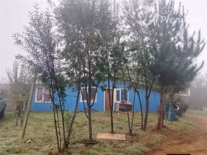 Sitio en venta con 4 casas en Teodoro Schmidt