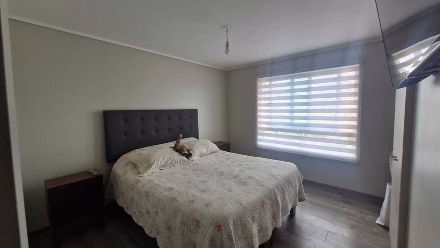 Oportunidad Única de Inversión Inmobiliaria (176311) - Imagen 14
