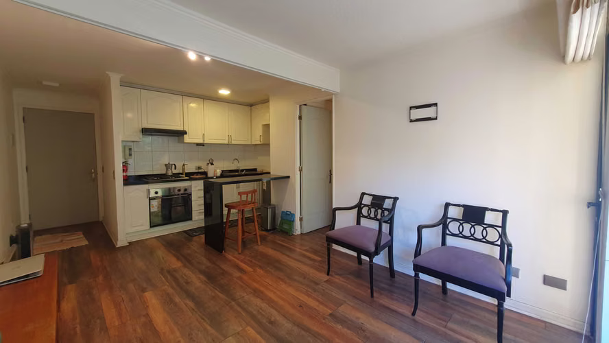 ARRIENDO LUMINOSO Y CÓMODO DEPTO 1 DORM, PROV. (176318)