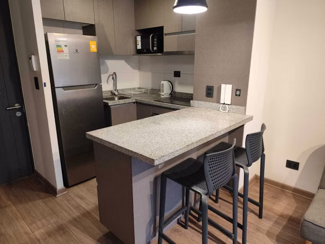 Depto Moderno 1D+1B Disponibilidad Inmediata (176322)
