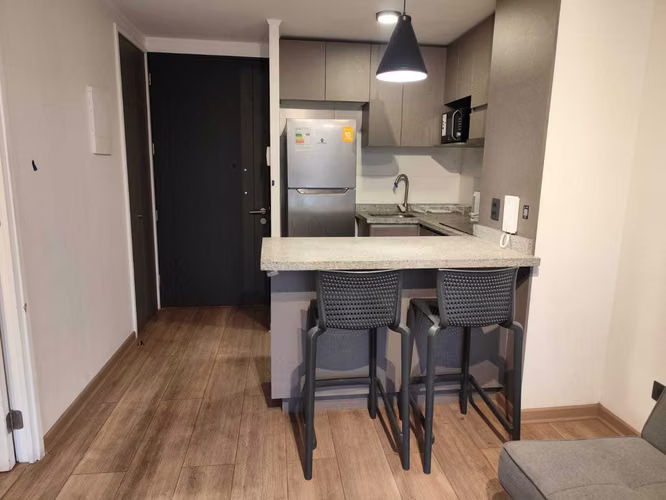 Moderno Depto 1D1B Excelente Conectividad (176322)