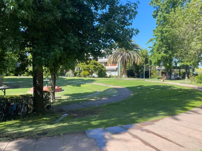 Precioso Dept Areas Verdes (176320)