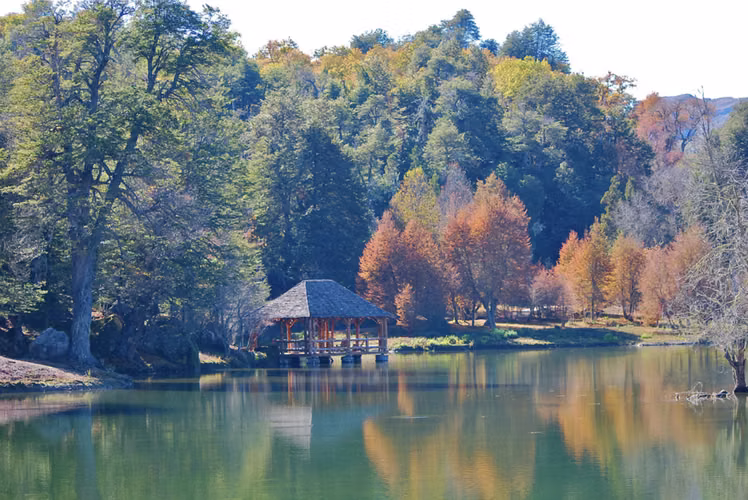 Espectacular terreno en venta Curicó a la cordillera, oportunidad, bosque nativo valdiviano, 5,51Ha El Buchén