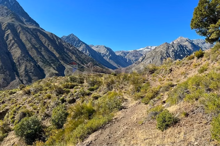 Fundo de 8.000 ha en la cordillera del maule - Imagen 19
