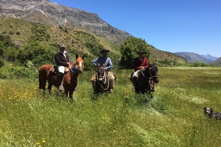 Fundo de 8.000 ha en la cordillera del maule - Imagen 22