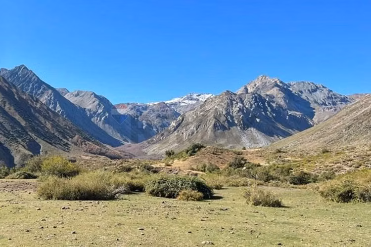 Fundo de 8.000 ha en la cordillera del maule - Imagen 21