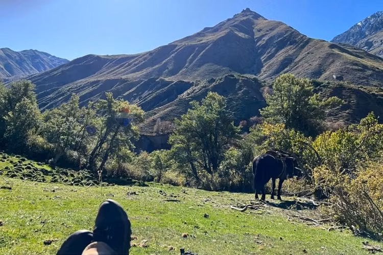 Fundo de 8.000 ha en la cordillera del maule - Imagen 18