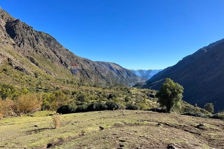 Fundo de 8.000 ha en la cordillera del maule - Imagen 17