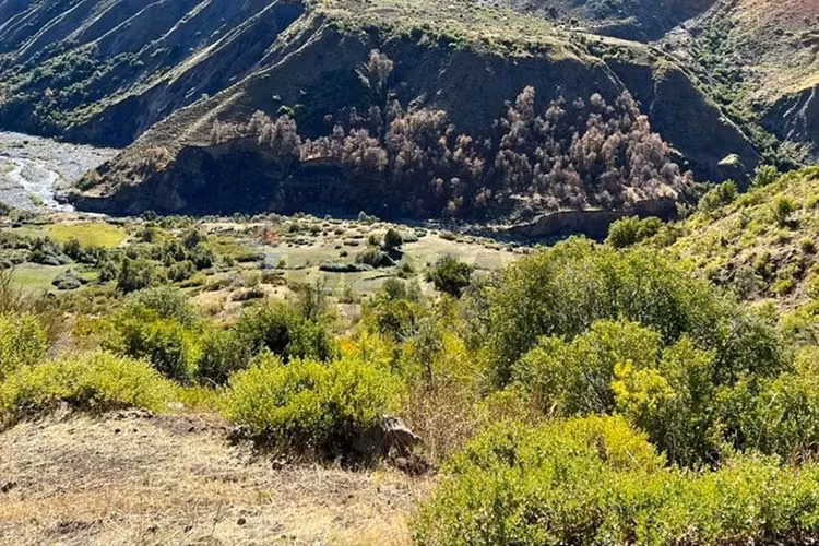 Fundo de 8.000 ha en la cordillera del maule - Imagen 11