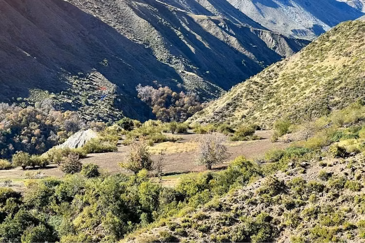 Fundo de 8.000 ha en la cordillera del maule - Imagen 6
