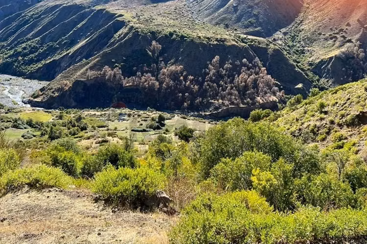 Fundo de 8.000 ha en la cordillera del maule - Imagen 20