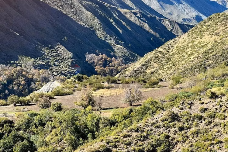 Fundo de 8.000 ha en la cordillera del maule - Imagen 15
