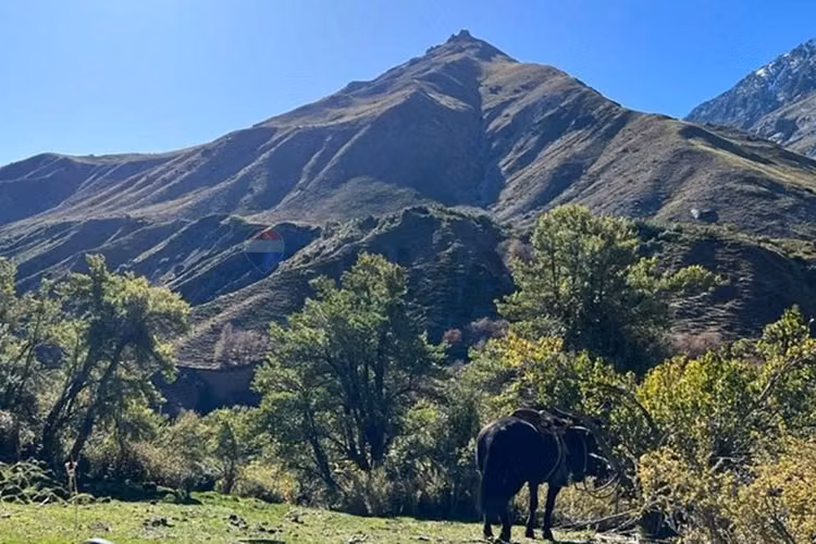 Fundo de 8.000 ha en la cordillera del maule - Imagen 9