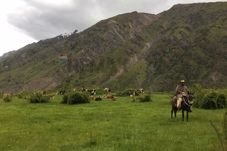 Fundo de 8.000 ha en la cordillera del maule