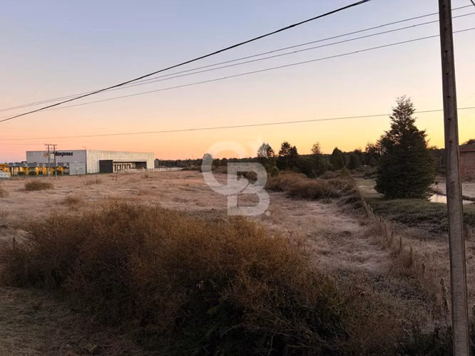 Terreno industrial en ubicación estratégica