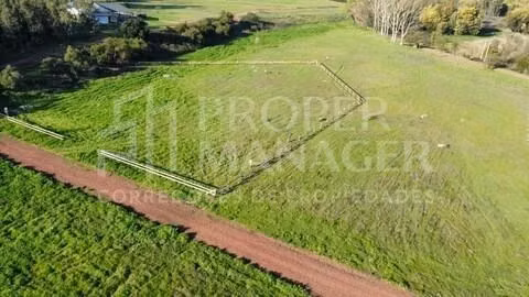 Parcela 5.000 m2 - A 12 Minutos de Chillán