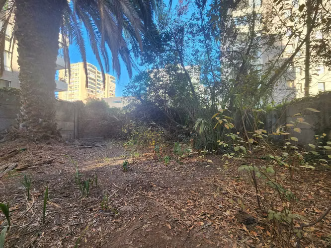 Para remodelar, 660 M2. (176364)