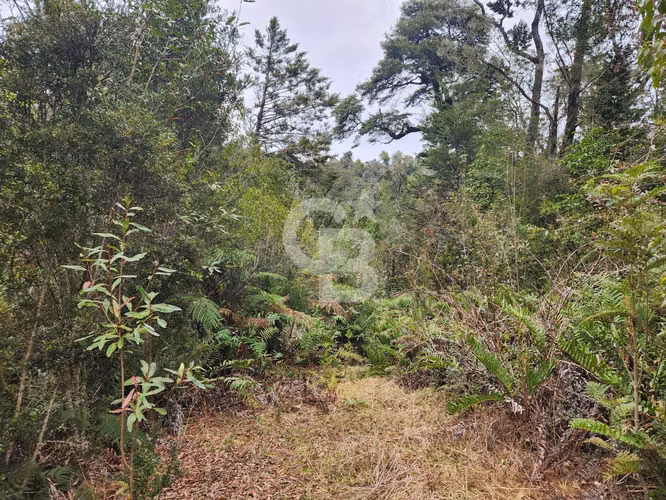Parcela en Puerto Varas con bosque nativo, árboles y estero - Imagen 11