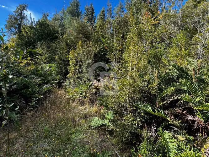 Parcela en Puerto Varas con bosque nativo, árboles y estero - Imagen 13