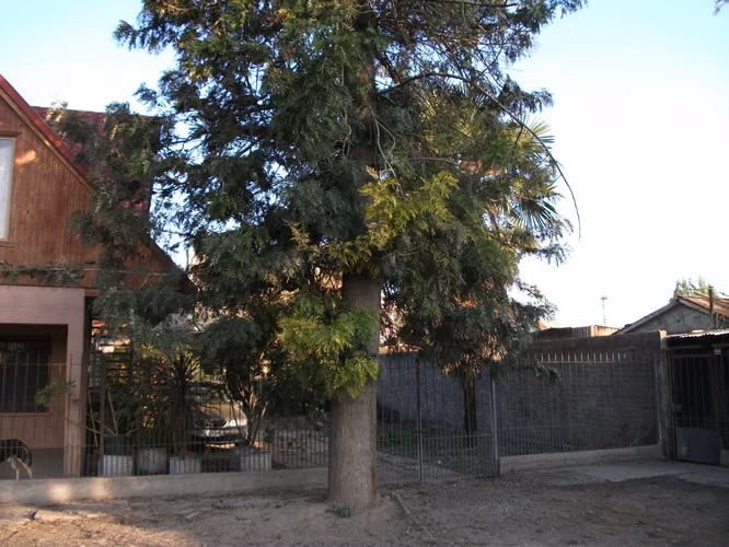 VENDO CASA 2 PISOS INDEPENDIENTES + TERRENO ROL INDEPENDIENTE TOTAL 347M2 - Imagen 2