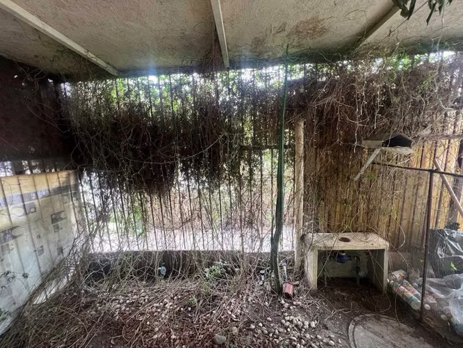 Oportunidad Casa Venta, Sector El Abrazo, Maipú (176426) - Imagen 25