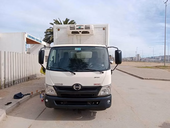 Camión hino xzu serie 300