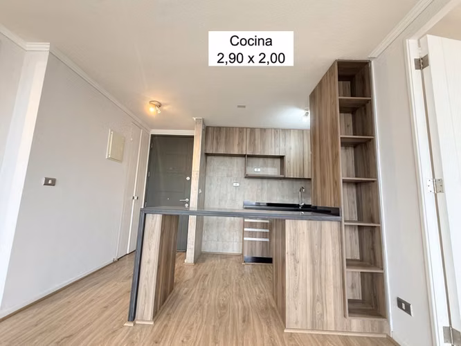 Depto Metro Camino Agrícola Mariposa 2D 2B Est y bod 53/56m2