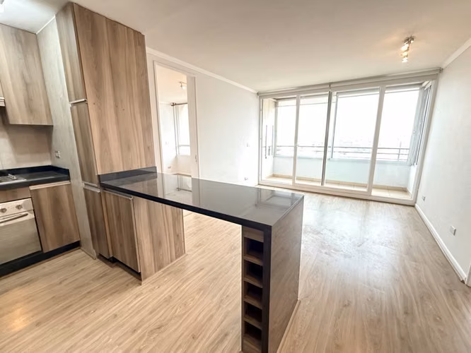 Depto Metro Camino Agrícola Mariposa 2D 2B Est y bod 53/56m2