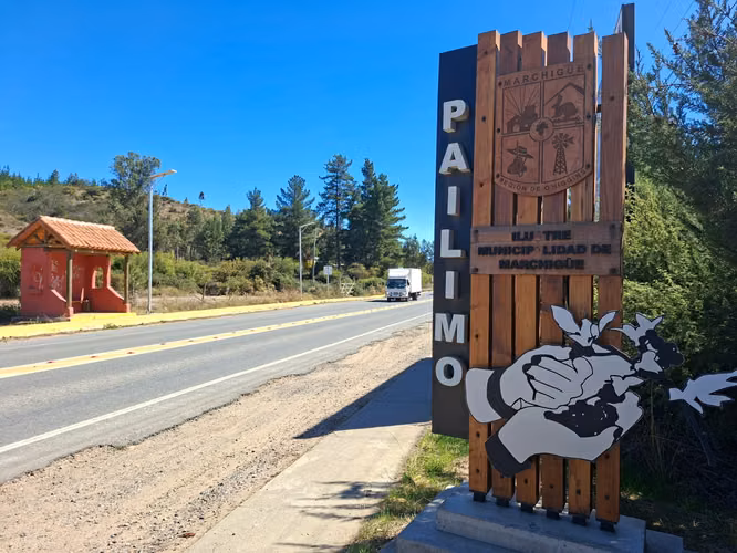 PARCELAS A 35 MINUTOS DE PICHILEMU Y A 10 MIN. RUTA I90