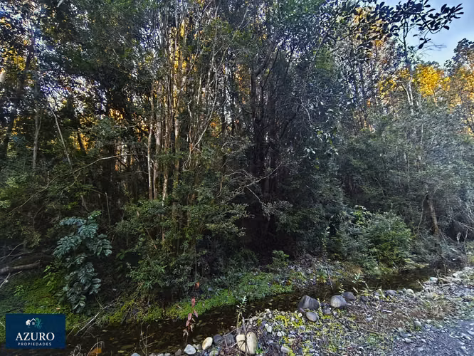 Espacio Ideal 6 Hás, Automó, Puerto Montt. (176432)