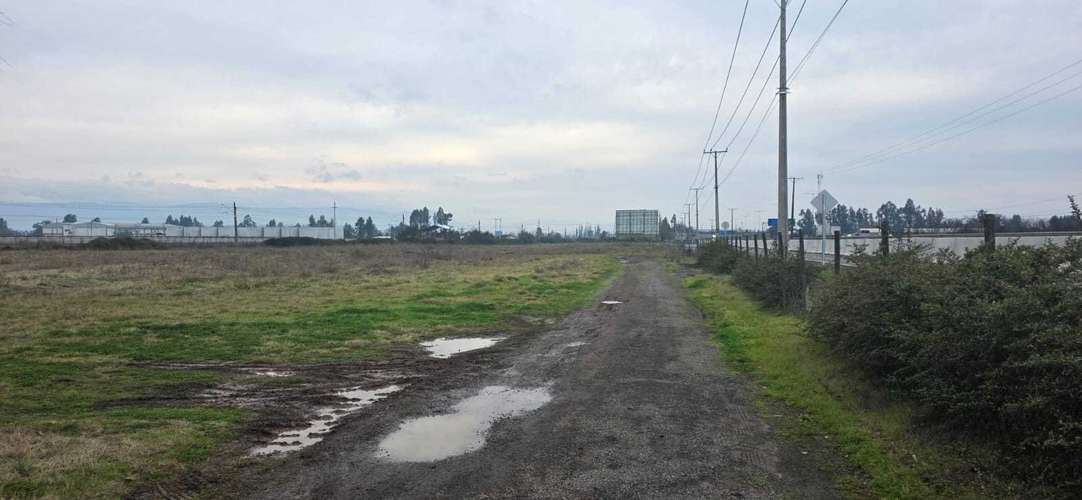 Inversión terreno comercial cruce quinta 5.000m2 (176267) - Imagen 19