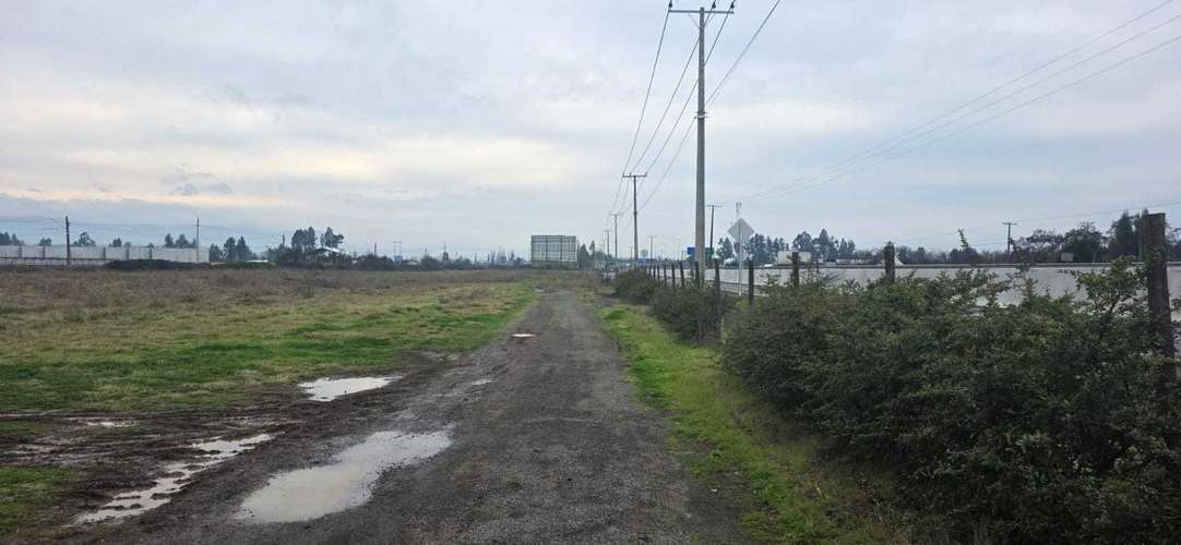 Inversión terreno comercial cruce quinta 5.000m2 (176267) - Imagen 9